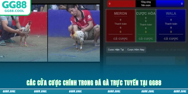 Các cửa cược chính trong đá gà trực tuyến tại GG88